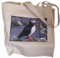 Bag with applied image